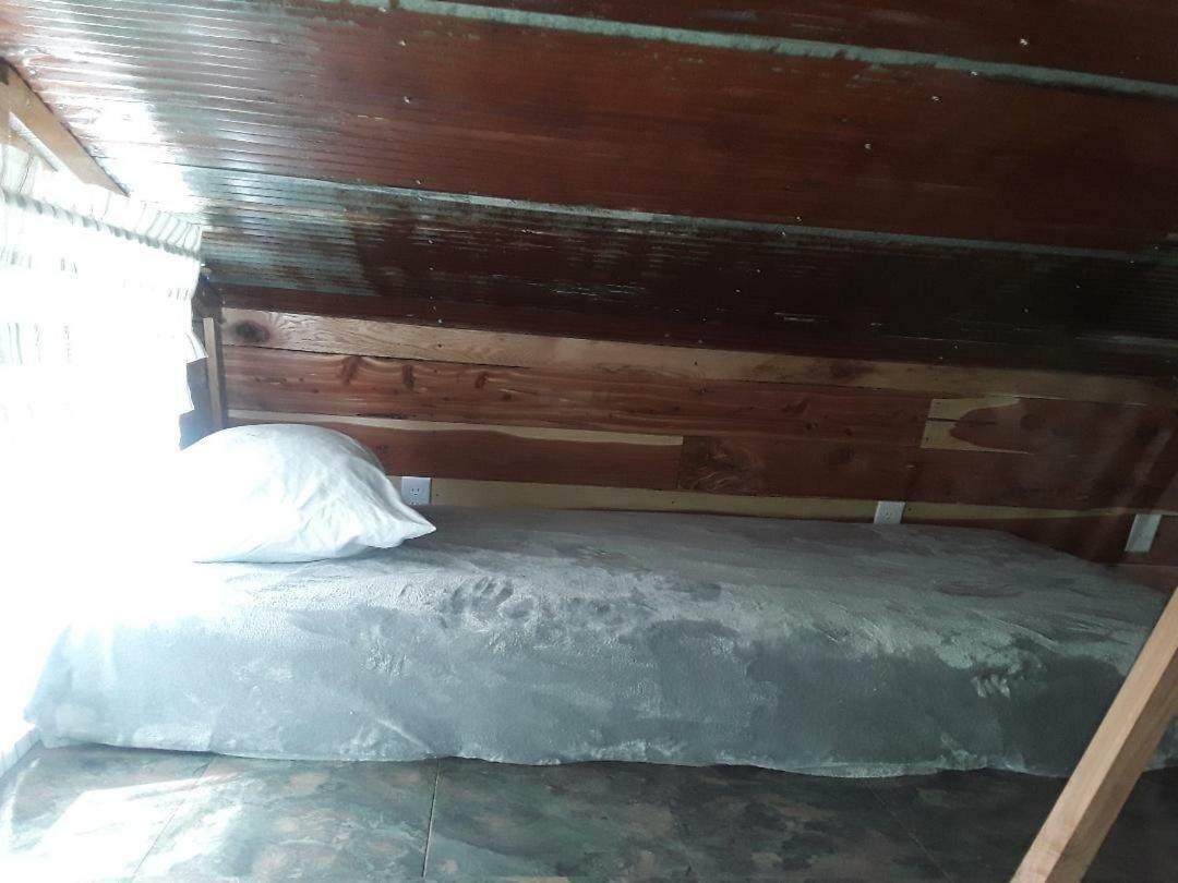Amish Made Cedar Cabin With A Loft On A Buffalo Farm Close To The Buffalo River Marshall Ngoại thất bức ảnh